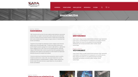 Kaya Yüzey