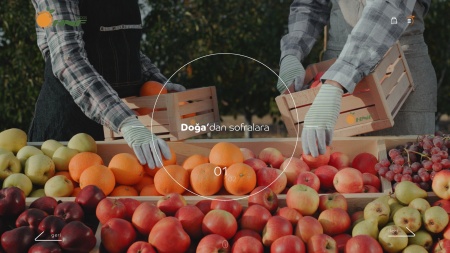 Hnf Foods