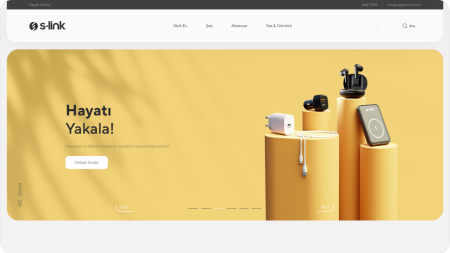 S-Link